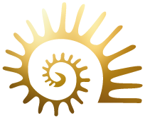 LOGO-Lichtmuschel